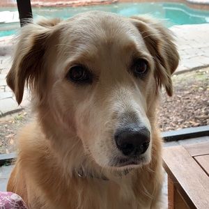 Meet your Posher, Marta